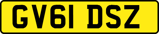 GV61DSZ