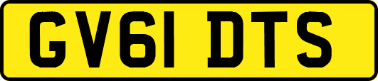GV61DTS