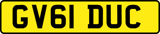 GV61DUC