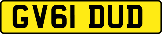 GV61DUD