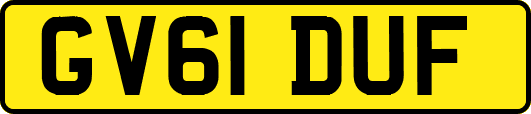 GV61DUF
