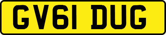 GV61DUG