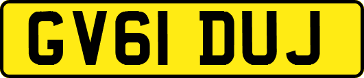 GV61DUJ