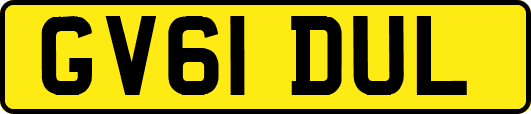 GV61DUL