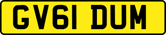 GV61DUM