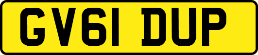 GV61DUP