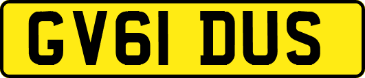 GV61DUS
