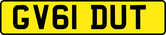GV61DUT