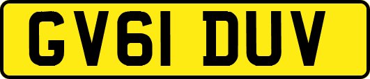 GV61DUV