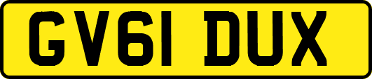 GV61DUX