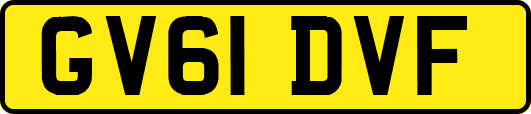 GV61DVF