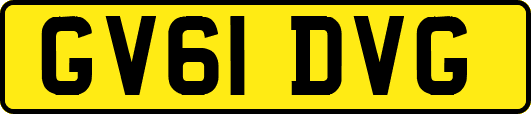 GV61DVG