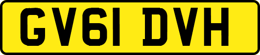 GV61DVH