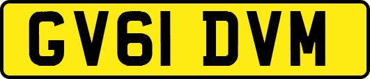 GV61DVM