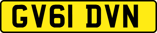GV61DVN
