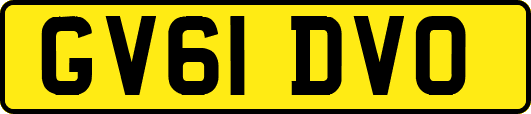 GV61DVO