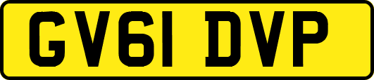 GV61DVP