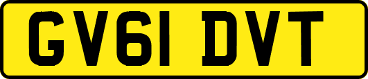 GV61DVT