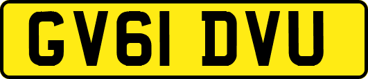 GV61DVU
