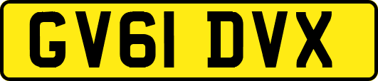GV61DVX