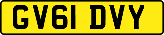 GV61DVY