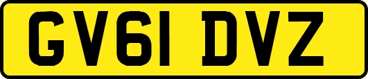 GV61DVZ