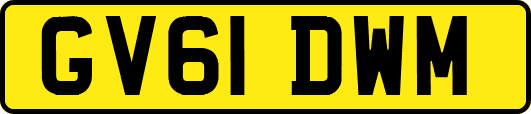 GV61DWM