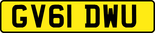 GV61DWU