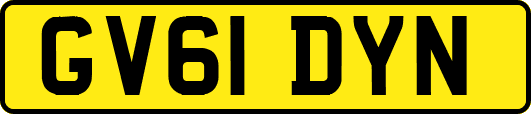 GV61DYN