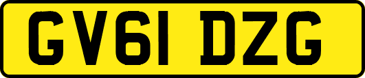 GV61DZG