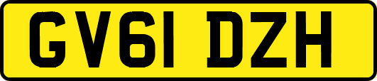 GV61DZH