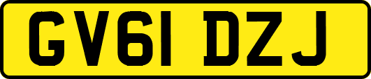 GV61DZJ