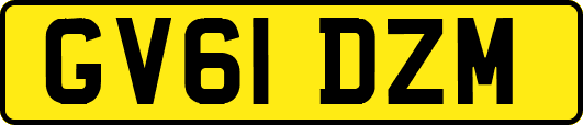 GV61DZM
