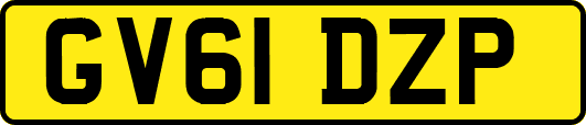 GV61DZP
