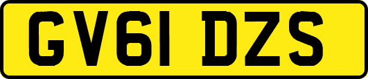 GV61DZS