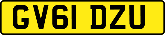 GV61DZU