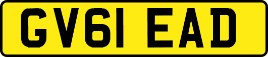 GV61EAD