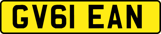 GV61EAN