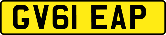 GV61EAP