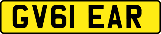 GV61EAR