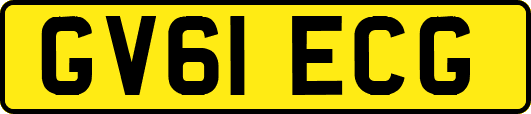 GV61ECG