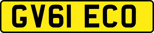 GV61ECO