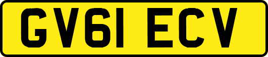 GV61ECV