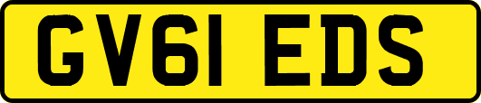 GV61EDS