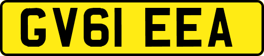 GV61EEA