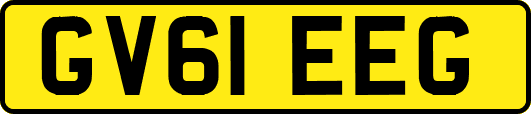 GV61EEG