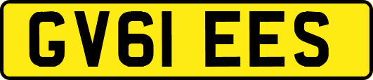 GV61EES