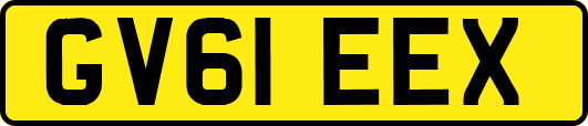 GV61EEX
