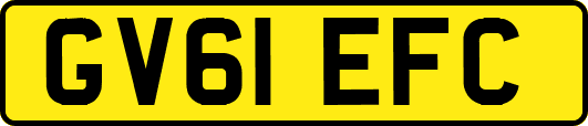 GV61EFC