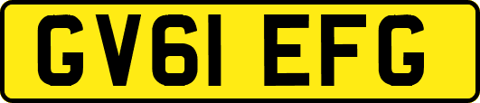 GV61EFG